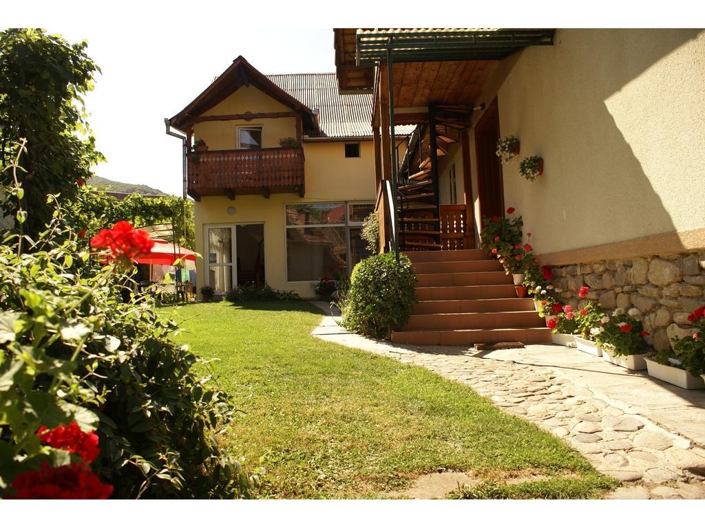 Pensiunea Andrei Sibiel Habitación foto